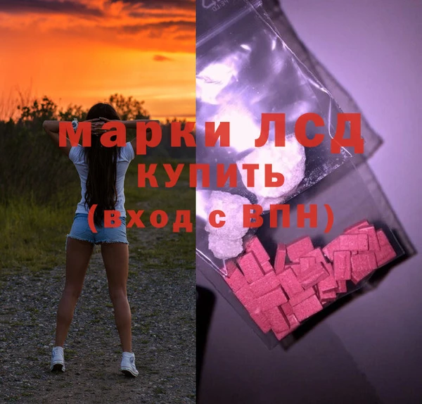 PSILOCYBIN Вязники