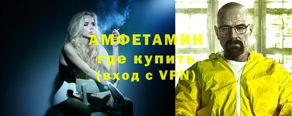 гидра Вяземский