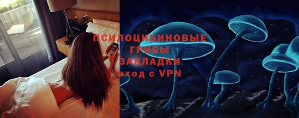 хмурый Вязьма