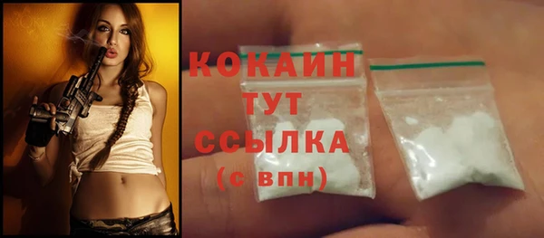 PSILOCYBIN Вязники