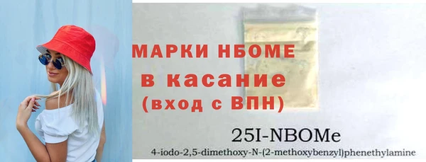 гидра Вяземский
