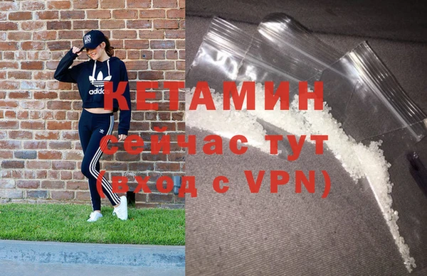 гидра Вяземский
