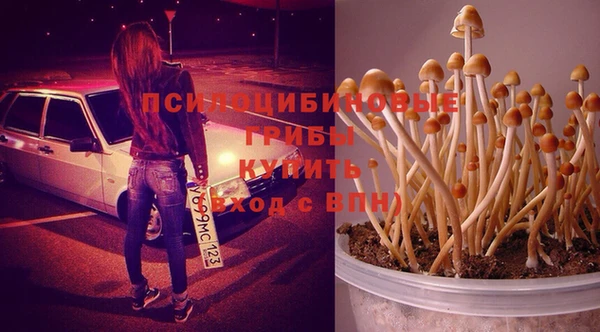 PSILOCYBIN Вязники