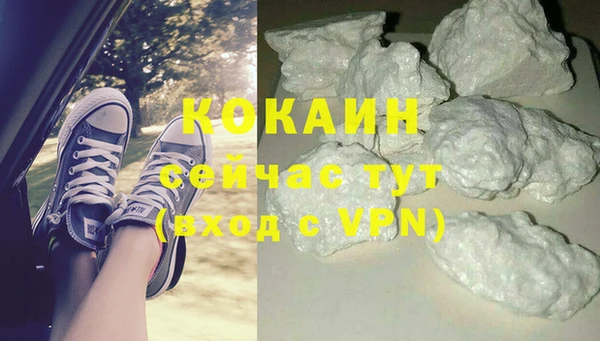 гидра Вяземский