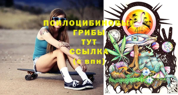 гидра Вяземский